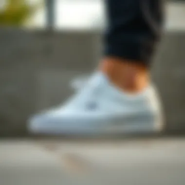 Maintenance tips for keeping White Vans clean