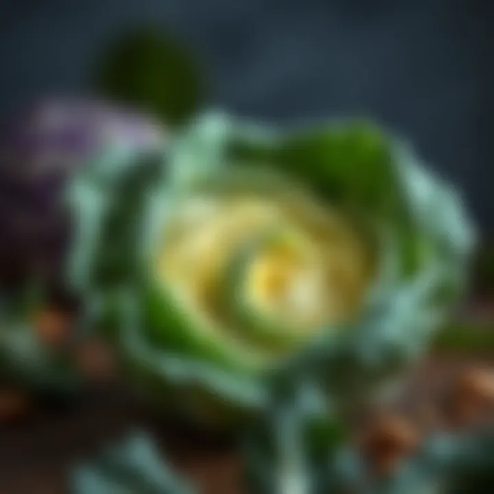 Infographic illustrating the health benefits of cabbage