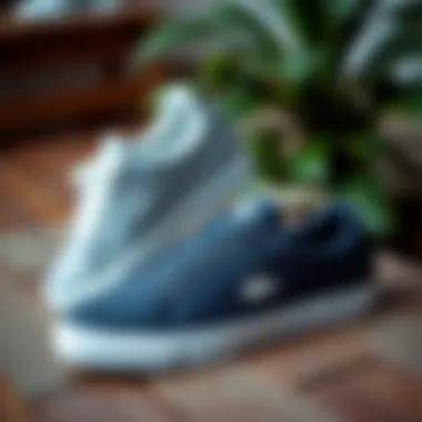 Stylish Lacoste shoes displayed on a wooden surface