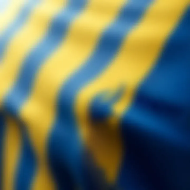 Close-up of the fabric texture of the Fenerbahçe Lacivert Forma