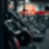 Close-up of diverse exercise equipment used for fitness routines