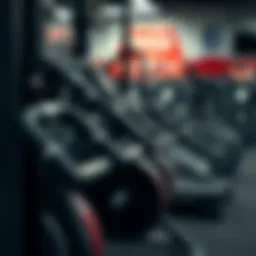 Close-up of diverse exercise equipment used for fitness routines