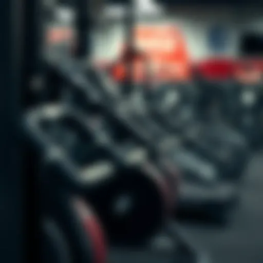 Close-up of diverse exercise equipment used for fitness routines