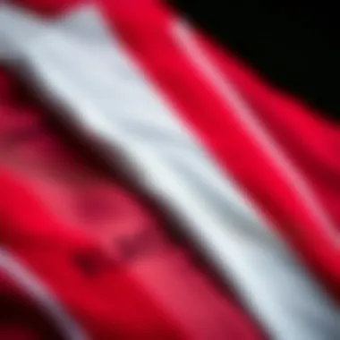 Close-up of the fabric and material used in the kit.