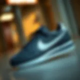 A stylish display of Nike Cortez Mavi showcasing its iconic design.