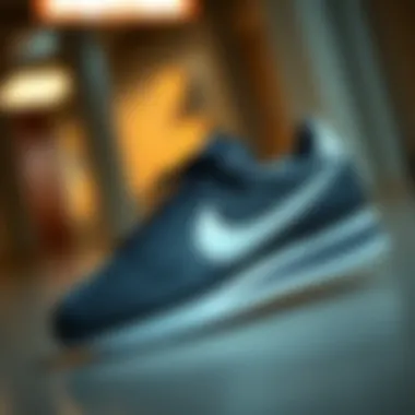 A stylish display of Nike Cortez Mavi showcasing its iconic design.