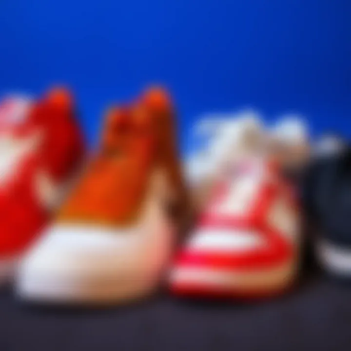 A collection of Nike shoes representing various styles