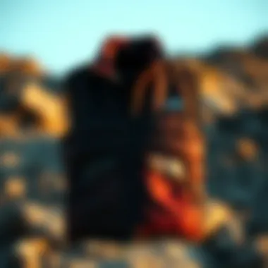 Care Tips for North Face Vests Care tips for maintaining North Face vests