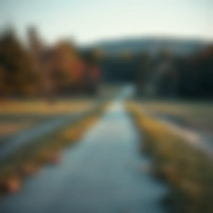 A serene landscape with a skating path, reflecting mental wellbeing and tranquility.
