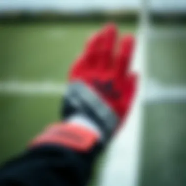 A guide on maintaining the quality of Predator gloves.