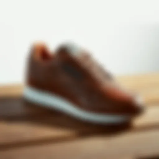 Classic Reebok leather sneaker on a wooden surface