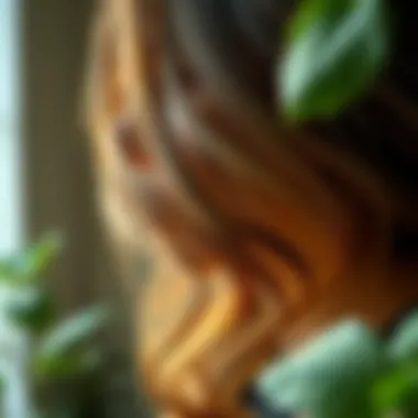 Natural sources of vitamins for hair