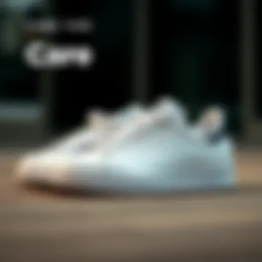 Care tips displayed alongside Stan Smith Bonega 2B for maintenance