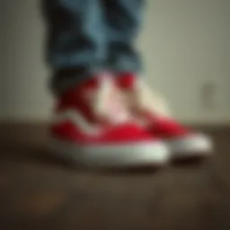 A vintage pair of Vans sneakers showcasing the classic design