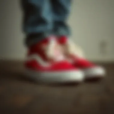 A vintage pair of Vans sneakers showcasing the classic design