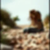 A pair of stylish hiking boots on a rocky trail