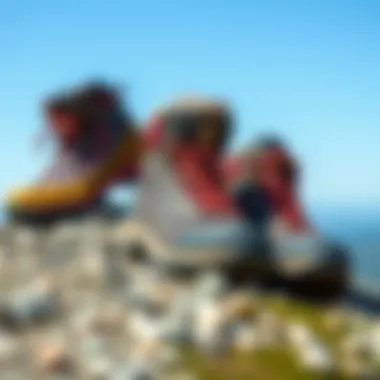 Different types of hiking footwear displayed